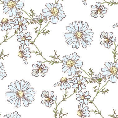 Beyaz arkaplanda papatya çayı olan kusursuz desen