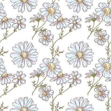 Beyaz arkaplanda papatya çayı olan kusursuz desen