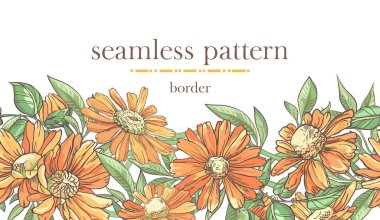 Rengarenk çiçekli kusursuz sınır deseni. El çizimi papatya ve yapraklarla kusursuz çizgiler..