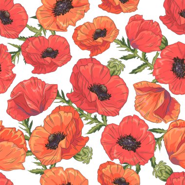 Beyaz arka planda gelincik çiçekleri ve yaprakları olan kusursuz bir desen. Vektör illüstrasyonu