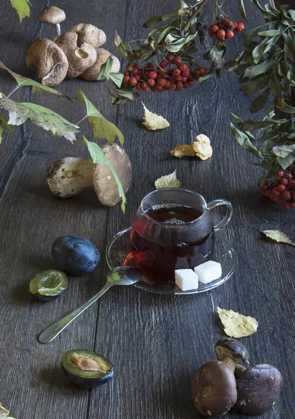 Herbst-Stillleben mit Pilzen und einer Tasse Tee auf einem Holztisch — Stockfoto