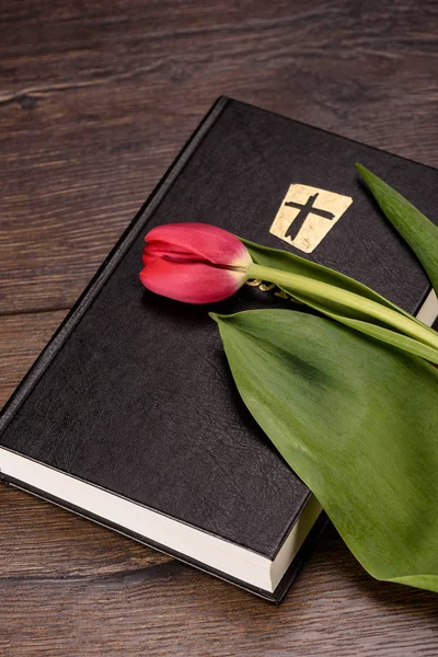 Bible avec concept de Pâques aux tulipes rouges — Photo
