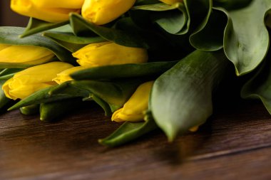 Ahşap arka plan bahar Lale çiçek