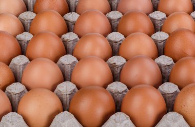 Birden çok satır kahverengi tavuk yumurta