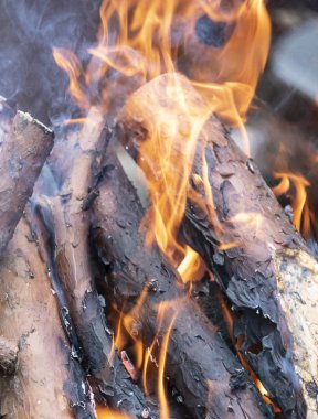 Yangın akarsu boyunca ahşap yakacak odun.