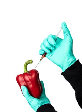 Kırmızı biberin içine insan kimyasalları enjekte edildi..