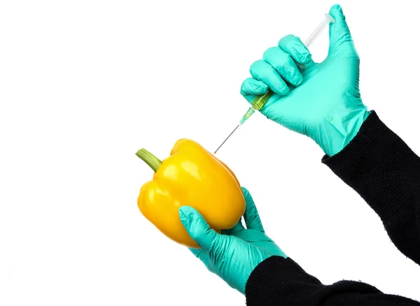 Lidská bytost vstříkla chemikálie do žlutého pepře. — Stock fotografie