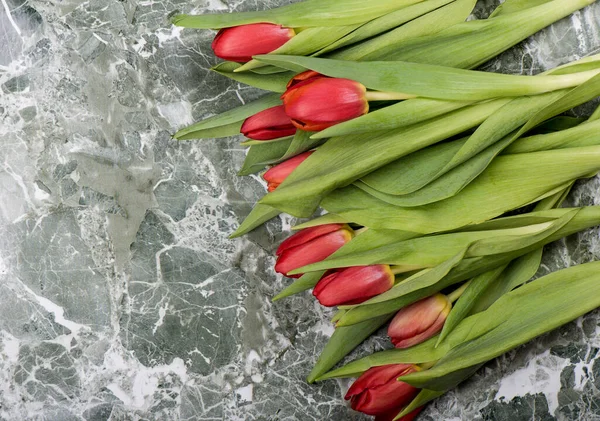 Fresh red tulips flowers over stone background. — Stock Photo, Image