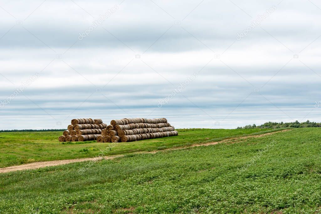 Landscape with hay bales and a cloudy sky. Pyramids of mowed hay.