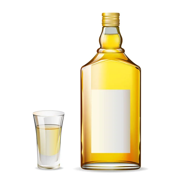 一瓶龙舌兰酒和一杯玻璃 — 图库矢量图片