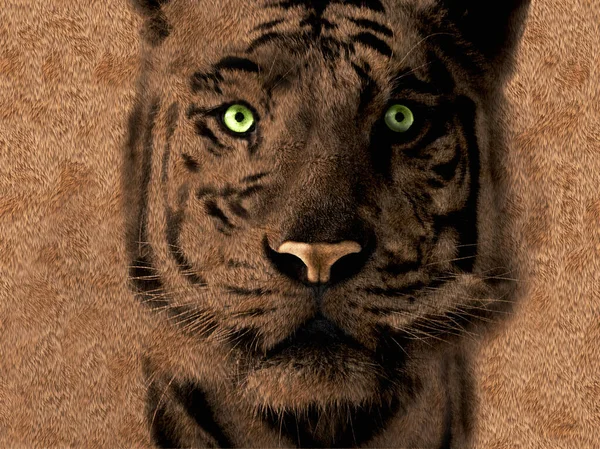 Tiger Konst Affisch Päls Bakgrund — Stockfoto