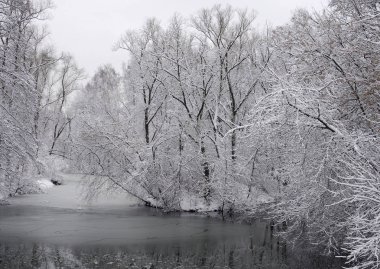 Kış manzarası. Nehir kış Park bankada ağaçta kaplama kar.