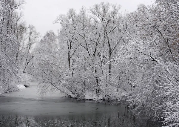 Winterlandschaft Der Schnee Der Die Bäume Flussufer Winterpark Bedeckt — Stockfoto