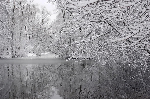 Winterlandschaft Der Schnee Der Die Bäume Flussufer Winterpark Bedeckt — Stockfoto
