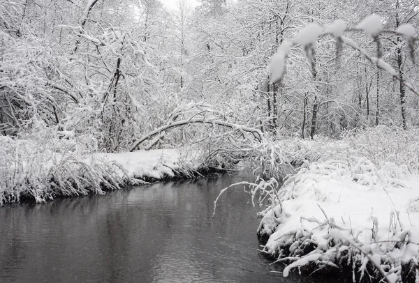 Paisagem Inverno Revestimento Neve Das Árvores Margem Rio Parque Inverno — Fotografia de Stock