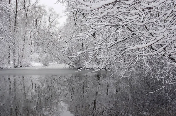 Winter Landscape Snow Coating Trees River Bank Winter Park Royalty Free Stock Images