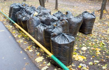 Sonbaharda yeşil çimenlerin üzerinde çöp ile siyah çanta.