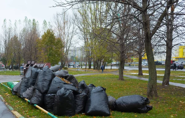 Black bags with garbage on the green grass in the fall.