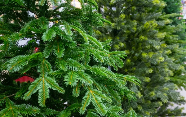 Los Juguetes Año Nuevo Sobre Las Ramas Verdes Del Árbol —  Fotos de Stock