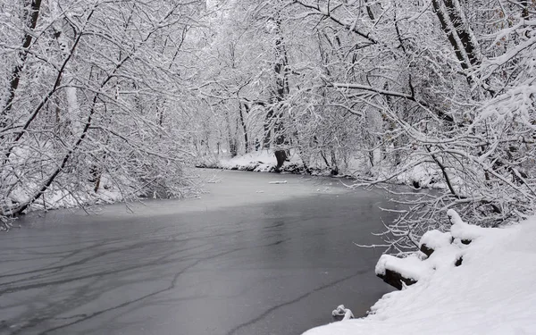 Paisaje Invernal Nieve Cubriendo Los Árboles Orilla Del Río Parque — Foto de Stock