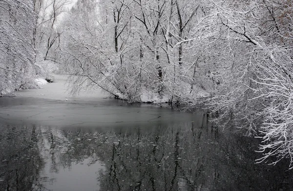 Winterlandschaft Der Schnee Der Die Bäume Flussufer Winterpark Bedeckt — Stockfoto