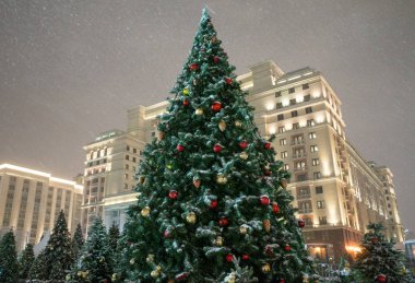 Manezh Meydanı Moskova'Noel ağaçları 