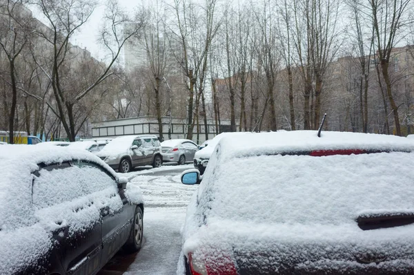 Carros Cobertos Neve Após Queda Neve — Fotografia de Stock