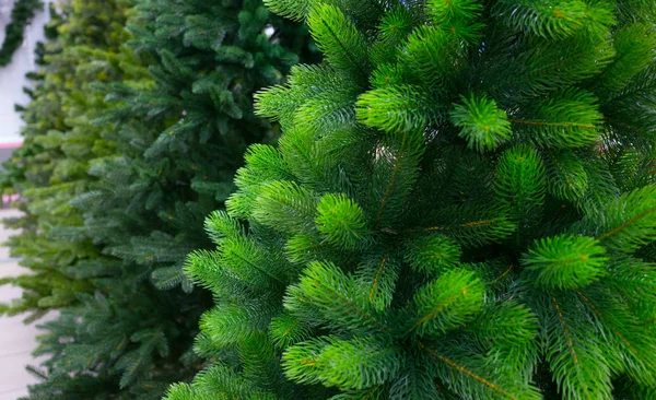 木の緑の枝の新年のおもちゃ — ストック写真