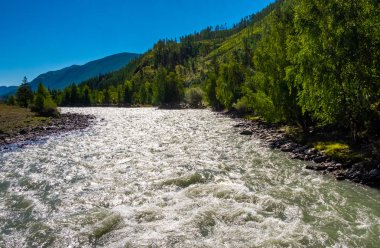 Dağ manzarası. Altay Cumhuriyeti Chuya Nehri.