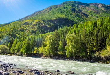 Dağ manzarası. Altay Cumhuriyeti Chuya Nehri.