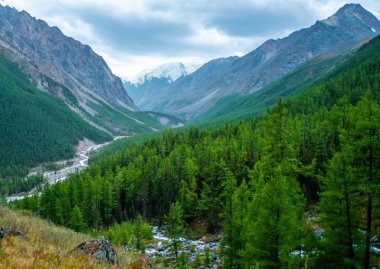 Dağ manzarası. Dağ nehir Altay Cumhuriyeti.