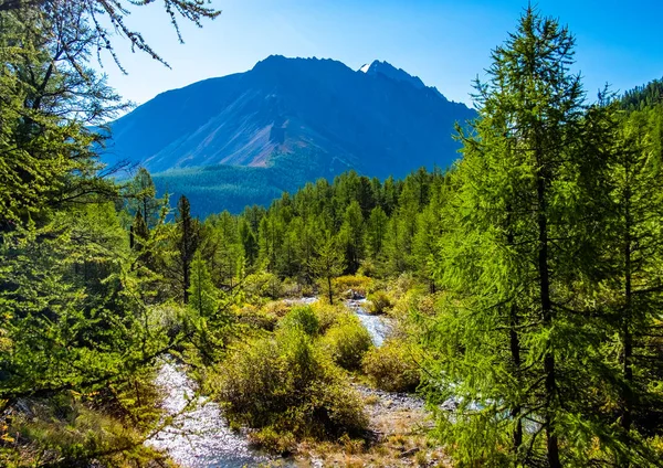 Paisaje Montaña Río Montaña República Altai — Foto de Stock