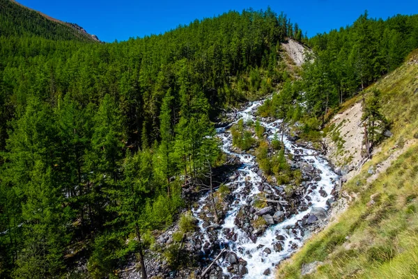 Paisaje Montaña Río Montaña República Altai — Foto de Stock