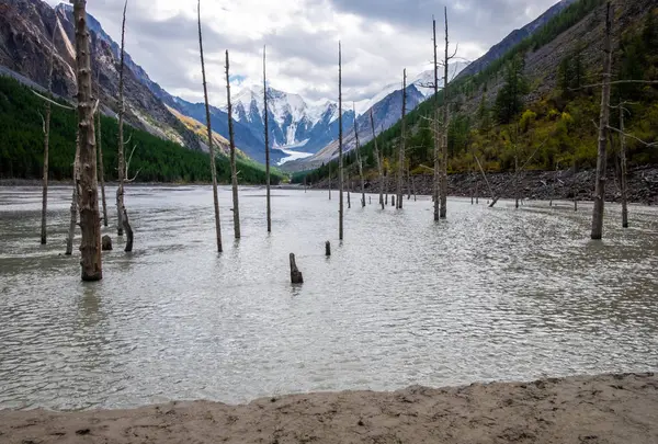 Paisaje Montaña Lago Montaña Muerto Maash República Altai — Foto de Stock