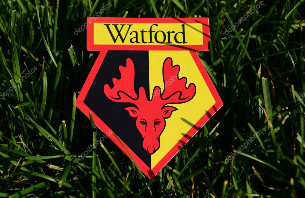 September 6, 2019 Istanbul, Turkey. The emblem of the English football club Watford on the green grass of the football field.
