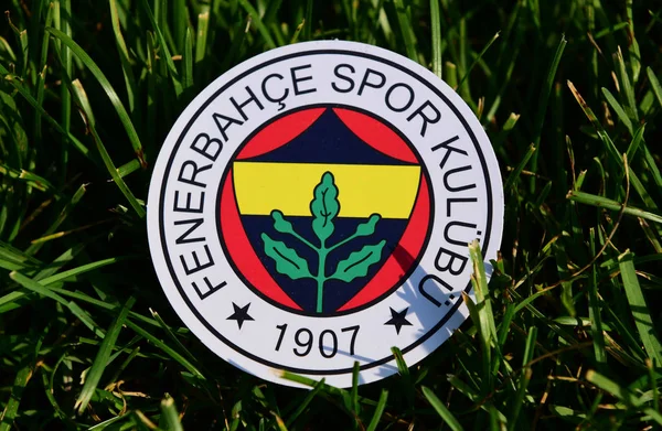 September 2019 Istanbul Turkey Emblem Turkish Football Club Fenerbahce Istanbul — Stock Photo, Image