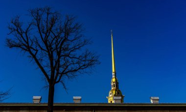 18 Nisan 2018. St. Petersburg, Rusya. St. Petersburg 'daki Peter ve Paul kalesi..