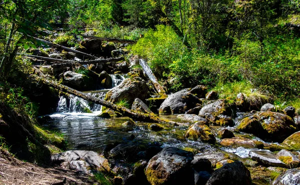 Rio Montanha Tempestuoso República Altai — Fotografia de Stock