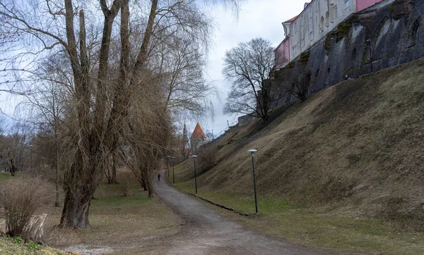 Abril 2018 Tallin Estonia Calles Ciudad Vieja Tallin — Foto de Stock