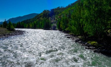 Altai Cumhuriyeti 'ndeki zorlu Chuya nehri.