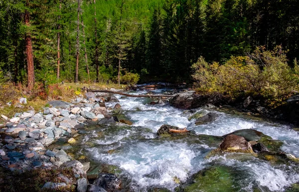 Río Montaña Bosque República Altai — Foto de Stock