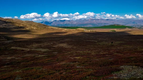 Mountain Plateau Clear Weather Altai Republic — Stock Photo, Image