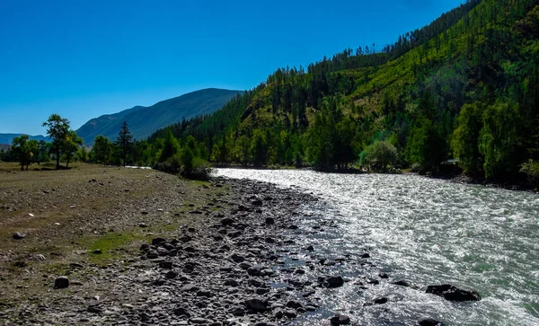 Rough River Chuya Altai Republic — Stock Photo, Image