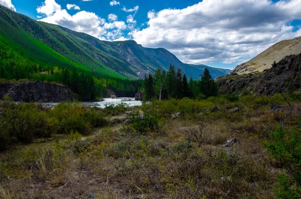 Río Montaña República Altai — Foto de Stock