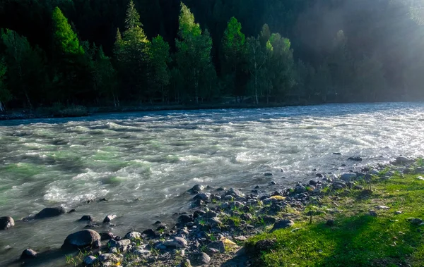 Río Chuya República Altai — Foto de Stock
