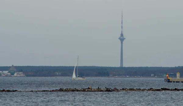 Uitzicht Baai Zeilboot Tallinn Toren — Stockfoto