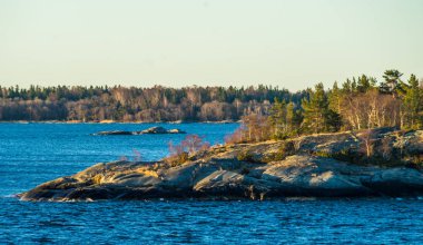 Stockholm Takımadaları 'nın ıssız adalarından birinin kayalıklarında az bulunan bitki örtüsü.