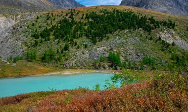 Altai Cumhuriyeti 'nin karlı zirvelerinin arka planında Dağ Gölü.