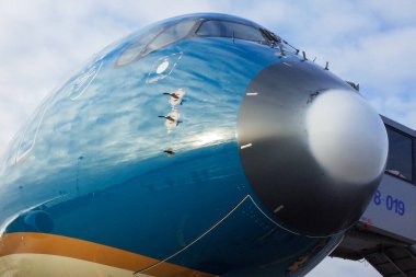 29 Ekim 2019, Moskova, Rusya. Uçak Airbus A350-900 Vietnam Havayolları, Moskova Sheremetyevo Havaalanı.