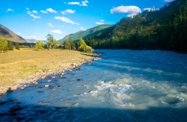Altai Cumhuriyeti 'ndeki Chuya Nehri..